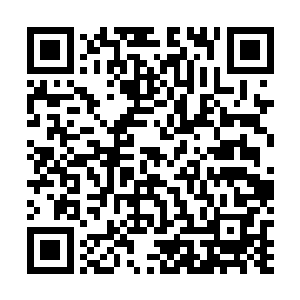 龙傲天此时也只感觉自己身上的气势开始疯狂的飙升起来二维码生成