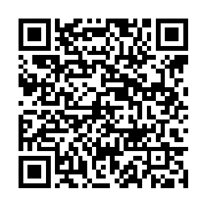 龙傲天没想到对方拿出的令牌竟然来头如此的恐怖二维码生成