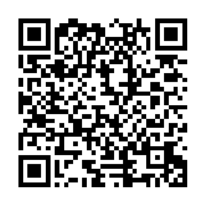 龙傲天点点头之后没有客气直接一屁股坐到了上面二维码生成