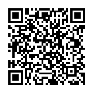 龙傲天现在在整个所有人中可以说是威信最大的一个二维码生成