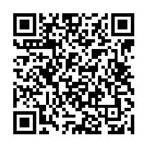 龙傲天的元神境界可是已经达到了恐怖的尊级的程度二维码生成