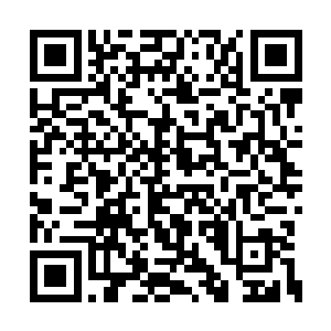 龙傲天的目光也不动声色的打量着周围的这些人二维码生成