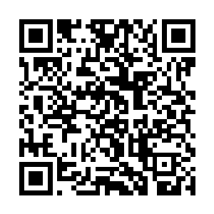 龙傲天的目光也是望向了空中悬浮的那一截九节紫竹二维码生成