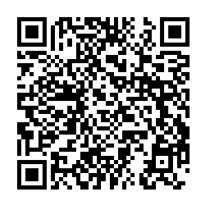 龙傲天的身体也随即直接被一股玄之又玄的诡异的能量笼罩了起来二维码生成