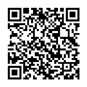 龙傲天给他们炼制的东西简直比这个首饰不知道高贵了多少倍二维码生成