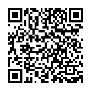 龙傲天自己无法感应出来面前这个怪鸟的具体修为是什么境界二维码生成