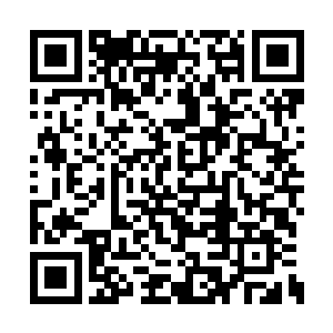 龙傲天见到他们离开之后对着紫明月几个人说道二维码生成