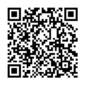 龙傲天见到众人都表现得有些惊吓过度了所以出言安慰道二维码生成