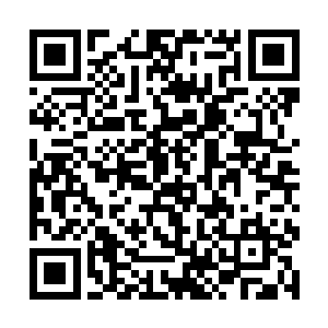 龙傲天见到这怪物的第一映像便是那两只巨大的爪子二维码生成