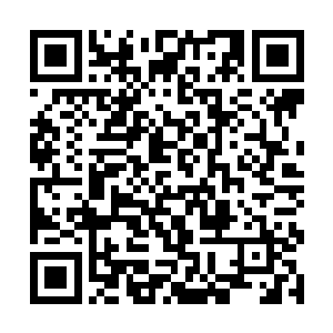 龙傲天让菩提子保护的自然正是锦鲤一族小金几个人二维码生成