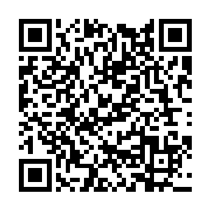 龙傲天跟自己的mén派之间的仇恨根本就化解不开二维码生成