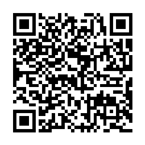 龙傲天轻声的对旁边的女国王叮嘱了一下要注意的事情二维码生成