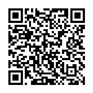 龙傲天随即也是将目光望向了轮回广场的通道中望去二维码生成