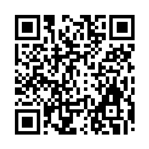 龙凤双子从降世之初到现在的不灭境三品修为二维码生成