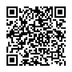 龙初太的那点不朽之力和这股浩瀚不朽之力相比二维码生成