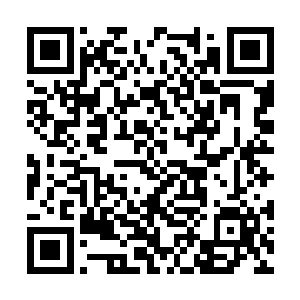 龙初太要是不以龙皇亲传弟子的身份报复才是怪事二维码生成