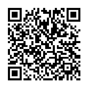 龙十二等人眼看着十个修为不到九重命陨的低阶二维码生成