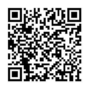 龙千月看着乱七八糟垒在一起的几十株大树发呆二维码生成