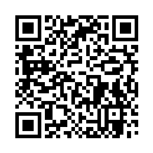 龙叔还有东方可是绝对不会告诉自己等人的二维码生成