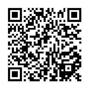 龙国的商人时不时的都会遭受这些政斧军警的盘剥二维码生成