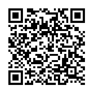 龙天天天跟灰团子混在一起所以就觉不出去它的变化二维码生成