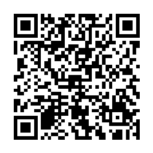 龙天阙神情温柔的看着站在船头伸着懒腰的小人儿二维码生成