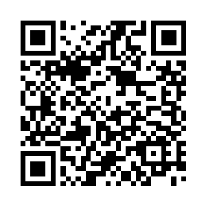 龙娃无奈的将眼前这个小家伙按到二维码生成