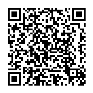 龙宫宝库的方向却传来了一声戛然而止的凄厉惨叫和一声痛苦的嘶吼二维码生成