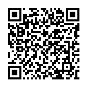 龙尊化为一道流光变成小蛇盘绕到了她的手腕上二维码生成