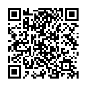 龙尊右使刀无双两人更是一人之下万人之上的两位神秘高手二维码生成