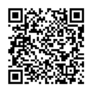 龙小友只要知道老朽对龙小友绝对没有而已就好了二维码生成