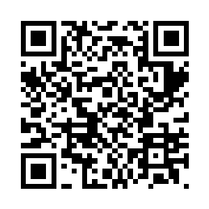 龙小宝转着圈在房间里翻了个底朝天二维码生成