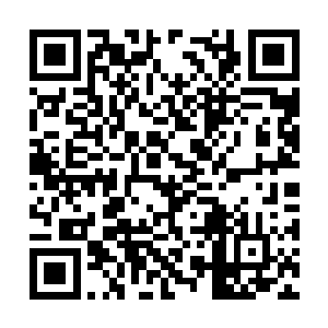 龙息这样的神秘之地怕是永远的和自己失之交臂吧二维码生成