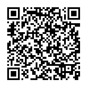 龙息队员在外面行走时都是以国安第十一局社会督察科的名义办事二维码生成