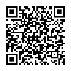 龙战其实也挺在意凌菲说的那种轻薄的结实的容器二维码生成