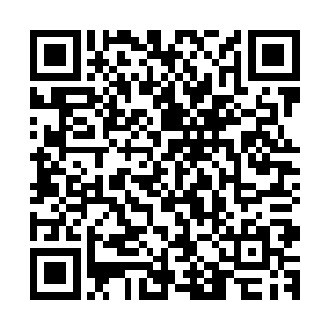 龙战和族里的勇士出去的第一天部落就在紧张的忙碌中度过了二维码生成