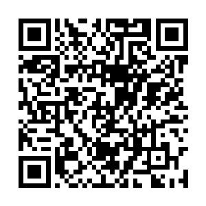 龙战应该是不会无缘无故的把雪狼给弄到家里来的二维码生成