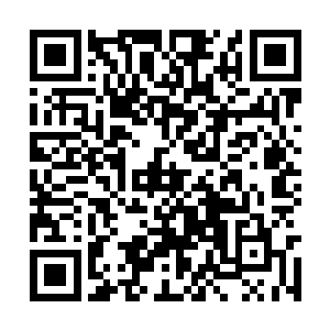 龙战直接把手伸进了自己的袖子里抓住了自己的手二维码生成