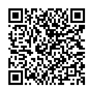 龙战锐利如刀的目光扫过躲在对面人群中一个神情瑟缩的男人二维码生成