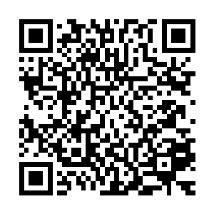 龙扬君等人在懵懂无知的情况下踏入诡谲叵测的测试而袖手旁观二维码生成