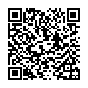 龙族和凤族之间的战争可不仅仅是两个种族之间的战争二维码生成
