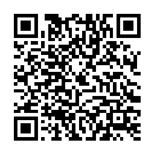 龙族和凤族双方阵营为了让自己一方尽快的增强实力二维码生成