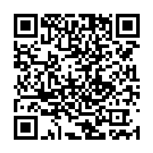 龙族最精纯的血脉在这个世界上只有这最后三滴了二维码生成