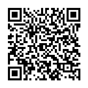 龙族铠甲和半龙族铠甲分给了我们夏家军一人一件二维码生成