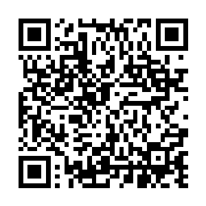 龙椅上的光绪也没有料到今天的庆亲王竟然如此的激动二维码生成