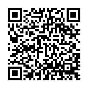 龙海市公安局常务副局长周茂航正在快速的派出武警和警力二维码生成