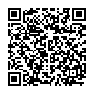 龙海市市委市政fu在得到运河县公路的广告拍出一点六亿的价格后二维码生成