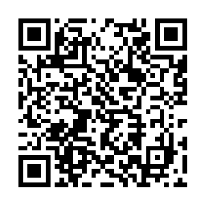 龙玄天正在前线指挥小天庭的正规军和阮秋水对阵二维码生成