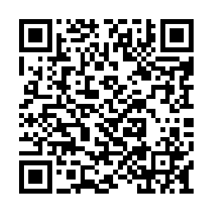 龙知进屋的时候龙野还在一头扎在兽皮里停尸呢二维码生成