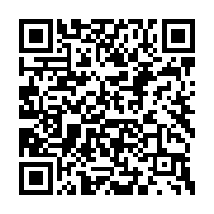 龙神临死之前留下的预言石板每一句都精准无比二维码生成